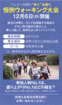 拡大表示します
